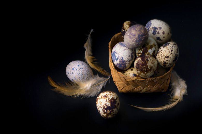 High Angle View Of Eggs Against Black Background