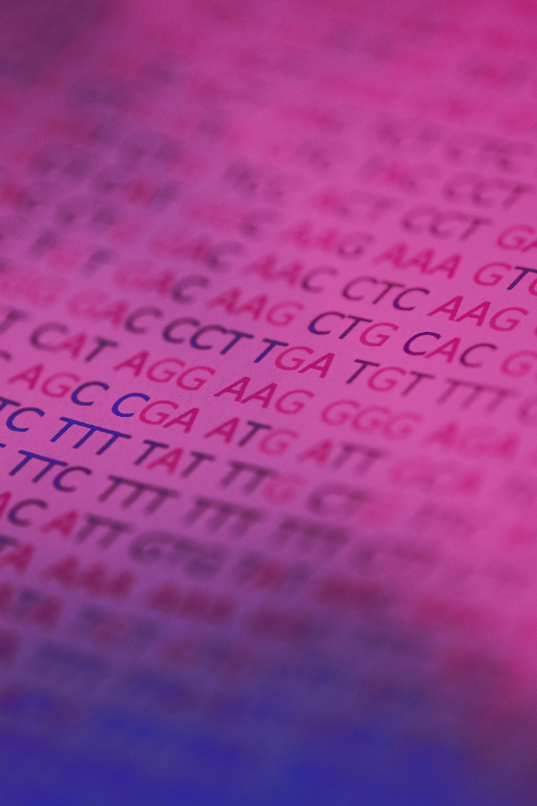 Abstract of DNA base pair sequence