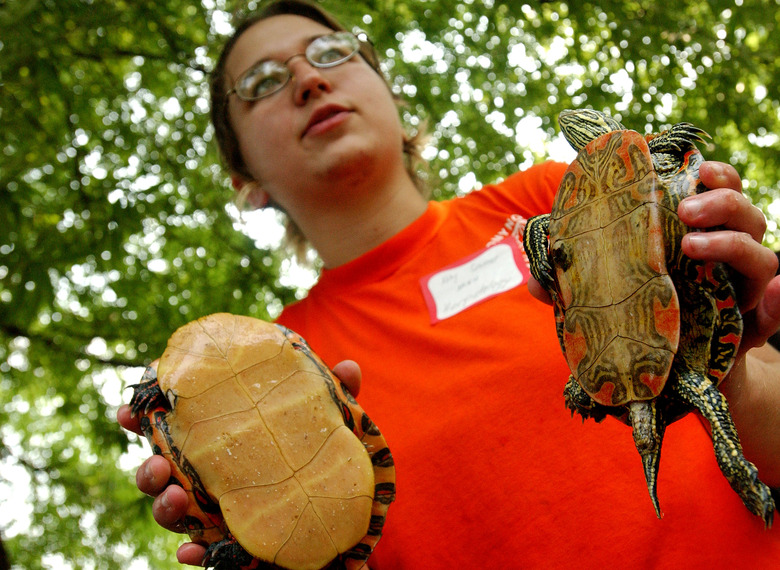 BioBlitz Nature Project Held In New York's Central Park