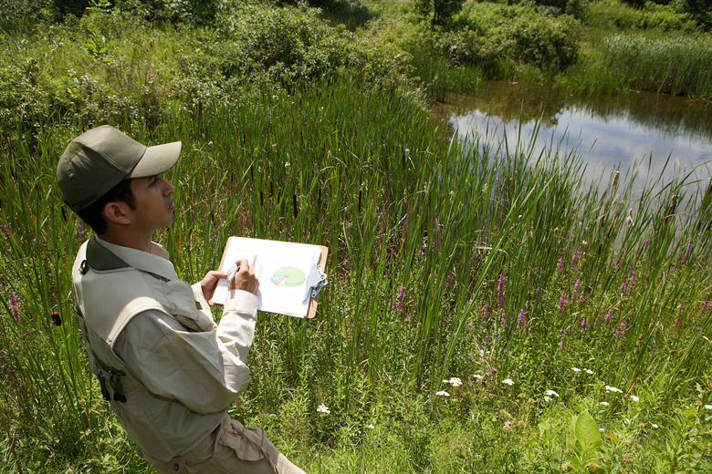 Researcher taking notes in wetland