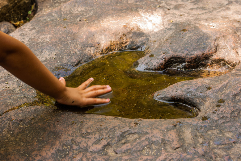 Compare human footprints with dinosaur footprints