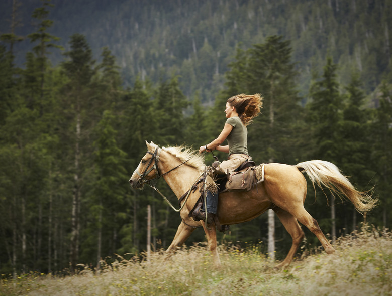 Woman riding horse through field. 