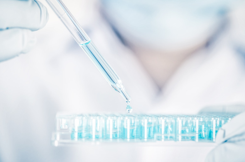 Close up a scientist working in laboratory to analyze blue extracted of DNA  molecules in a micro tube plate , clinical or science testing analysis concept