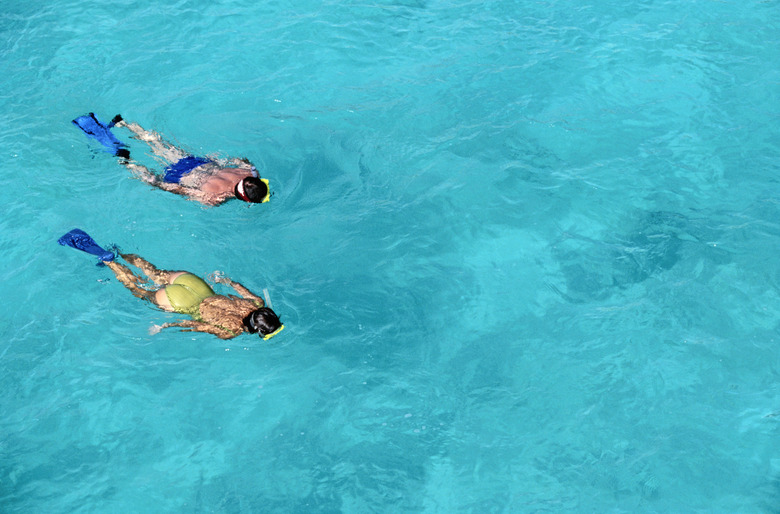 Snorkeling Couple