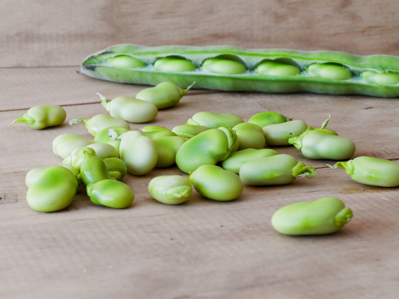 Ecological broad beans.