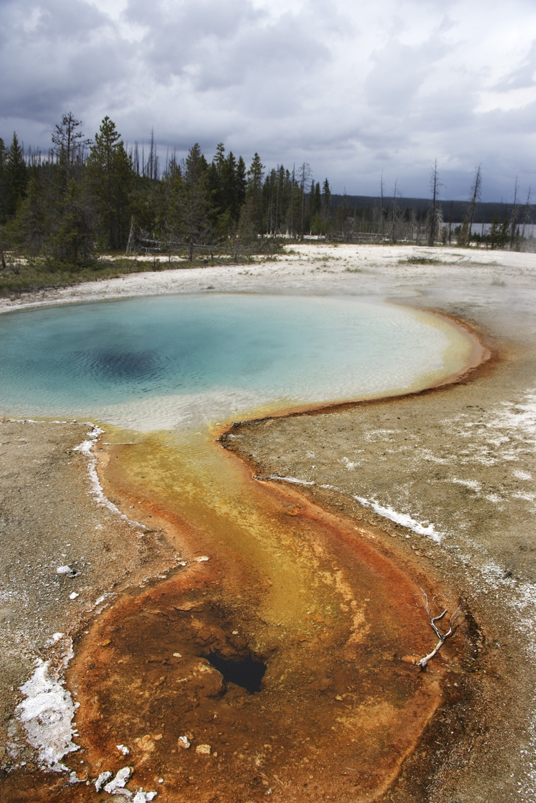 Hot springs, Yellowstone National Park