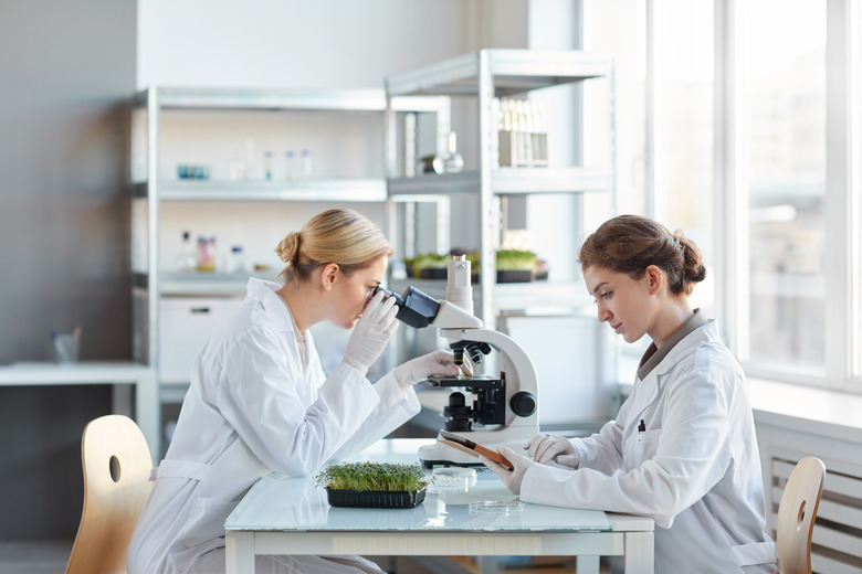 Two Young Women Working in Laboratory