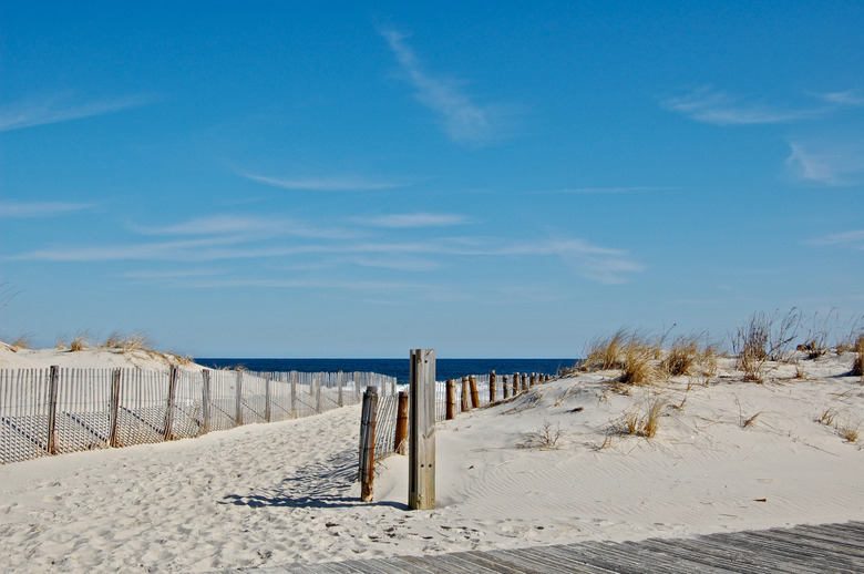 Sunny Beach Day