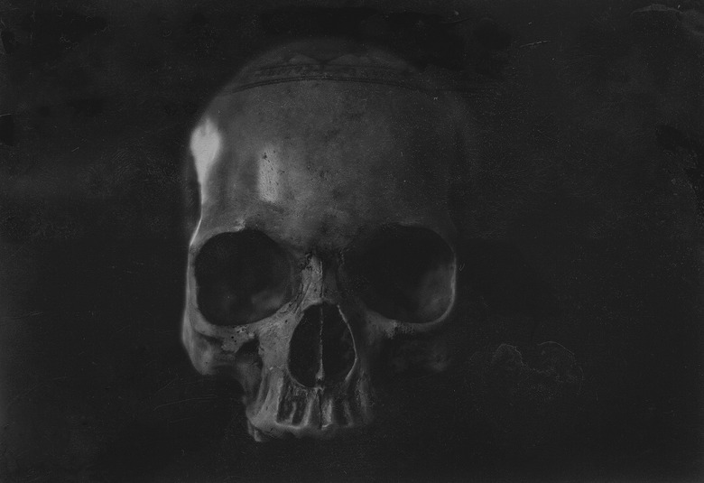 Close-Up Of Skull In The Dark