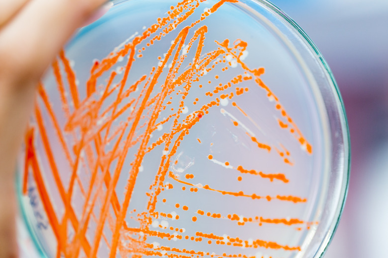 Backgrounds of Science research and Research microbiology in laboratory.