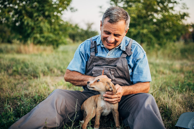 Senior farmer playing with puppy