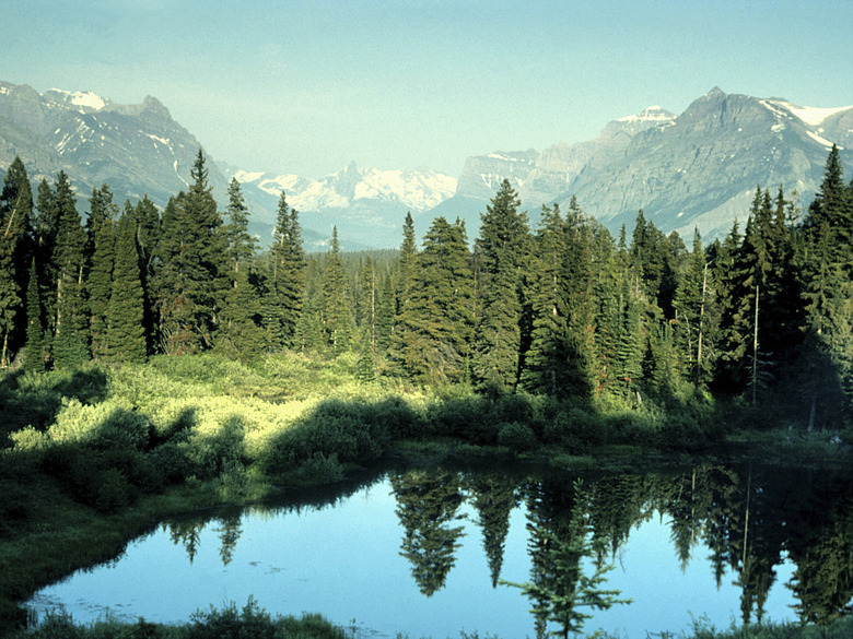 Lake with forest and mountains