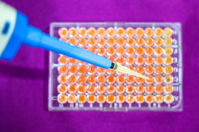 Pcr well plate on 96 well microplate with biological samples