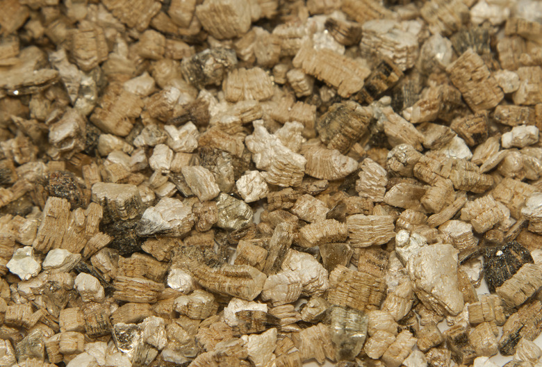 Vermiculite used in potting plants