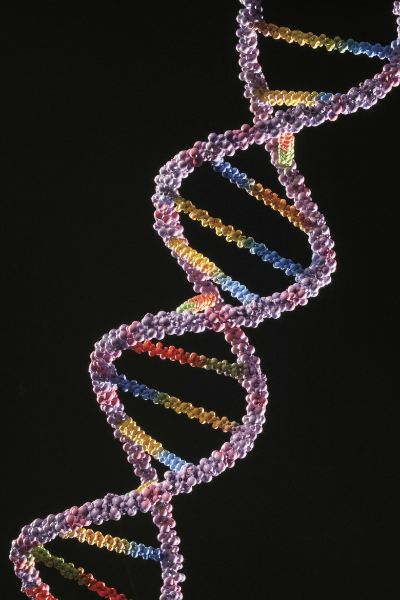 DNA helix