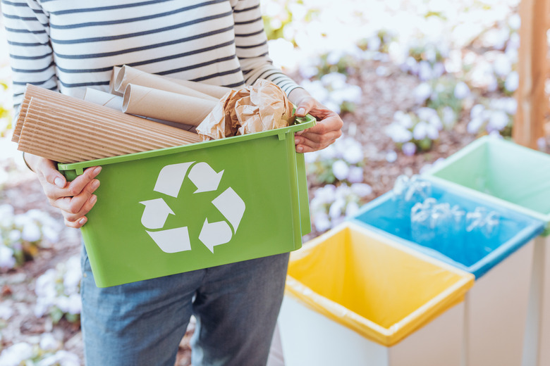 Activist sorting paper waste