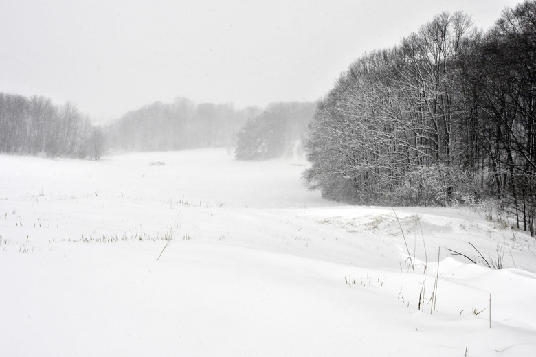 Northern Michigan Winter Hike