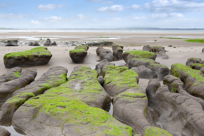 mud banks at Beal beach