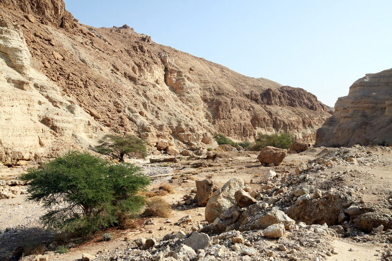 Wild rocky desert