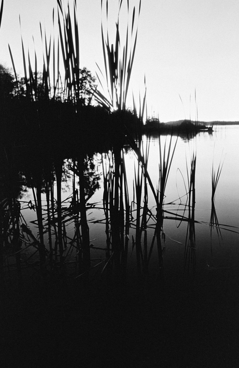 Lake shore at sunset