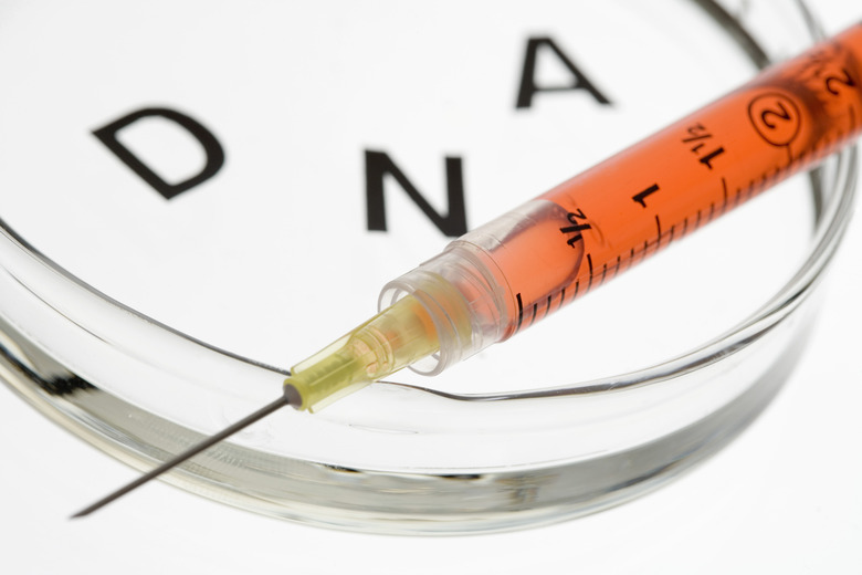 Syringe and petri dish with letters DNA