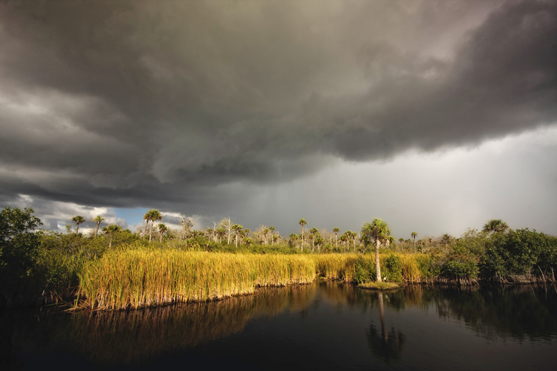 Summer Storm