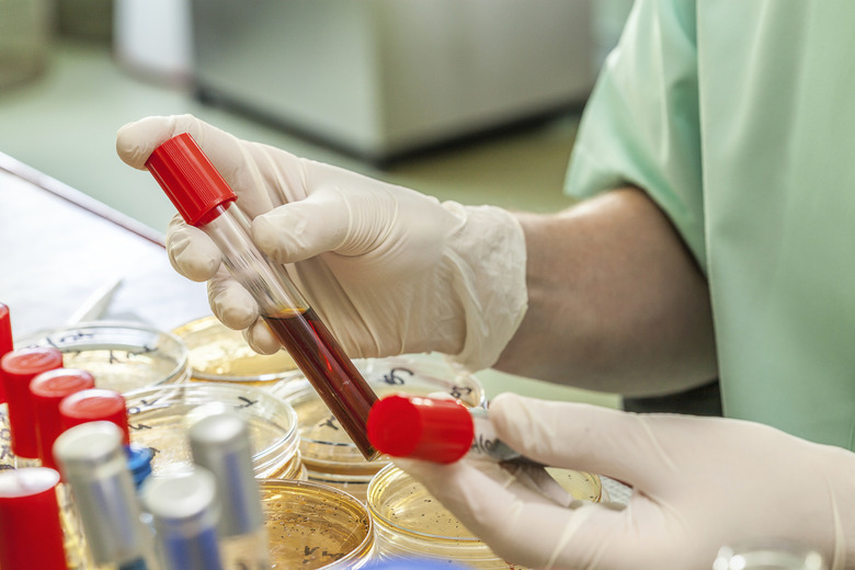 Test tubes in laboratory