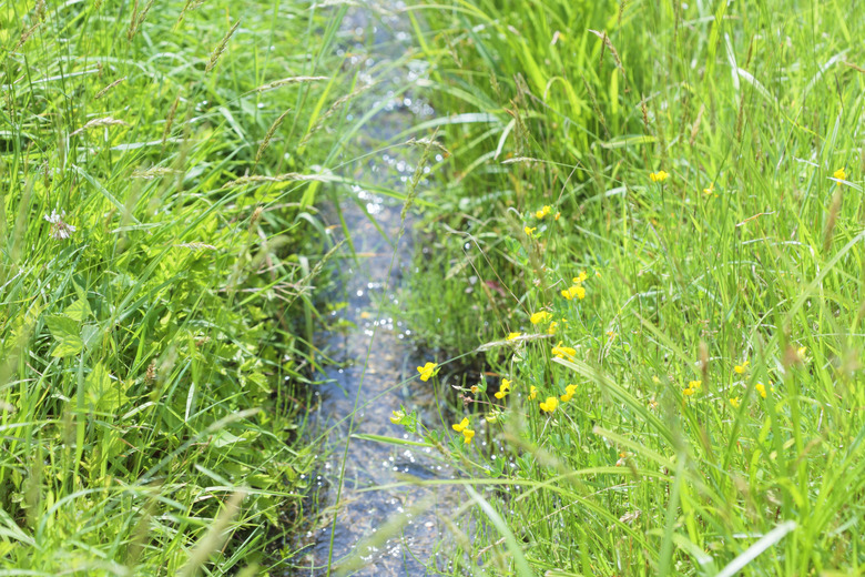 A small homemade stream through the yard can carry off excess water.