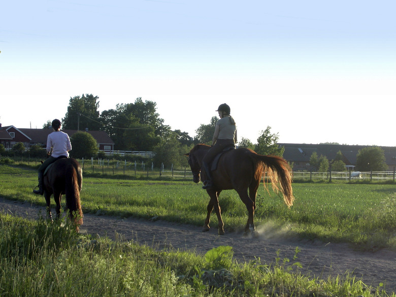 People riding horseback