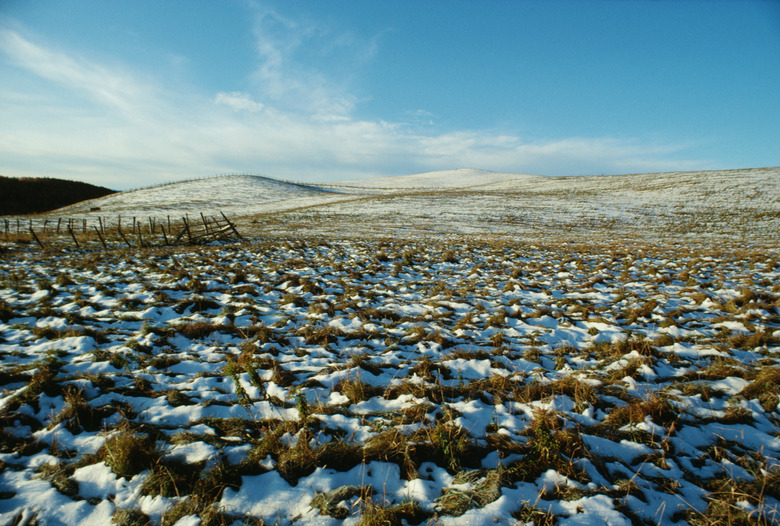 Snow-covered tundra