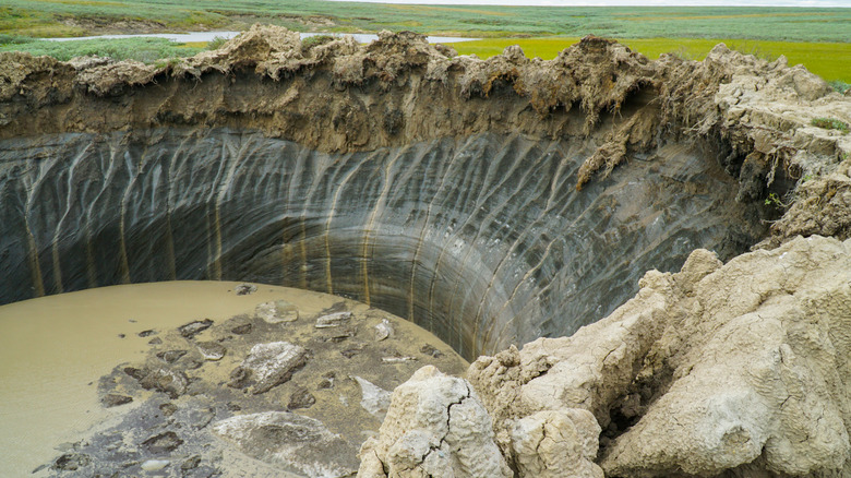 YAMAL PENINSULA, RUSSIA - JUNE 18, 2015: Expedition to the