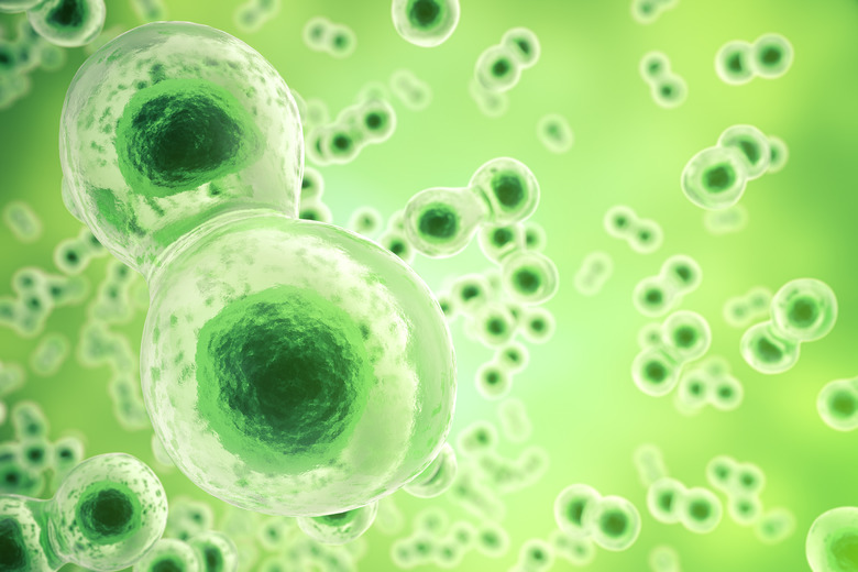 Green cell background. Life and biology, medicine scientific, molecular research