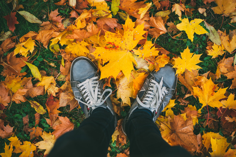 Young man standing in sneakers on ground with autumn leaves